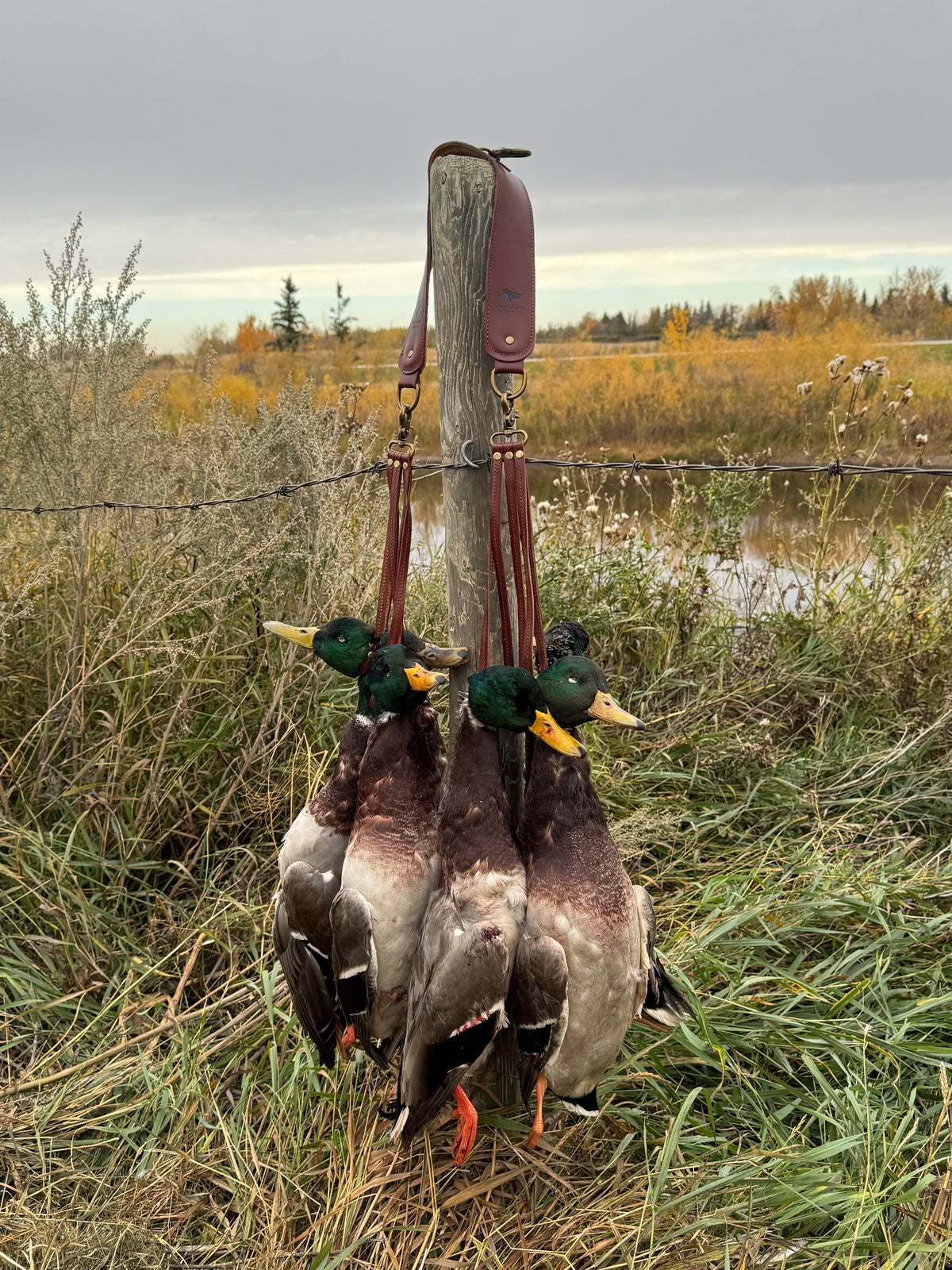 LF Leather Duck Totes