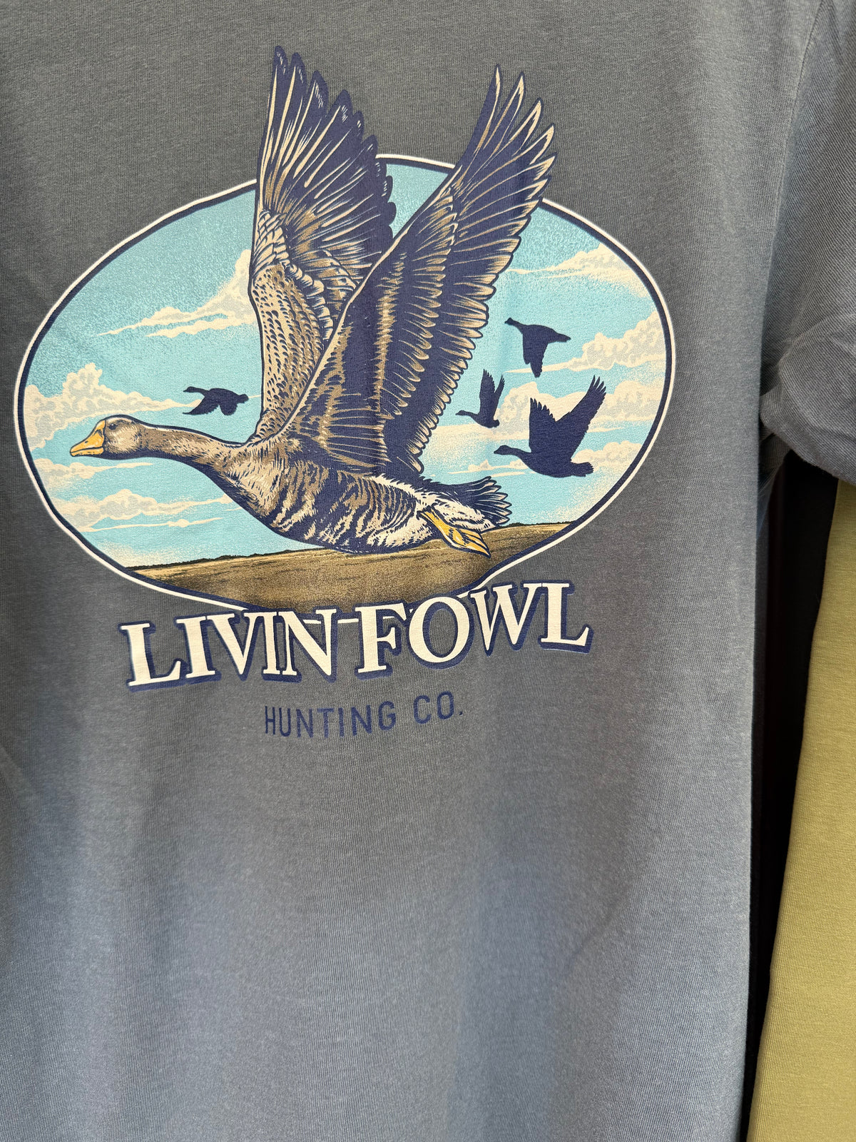 Chasing Specks - SS Comfort Color